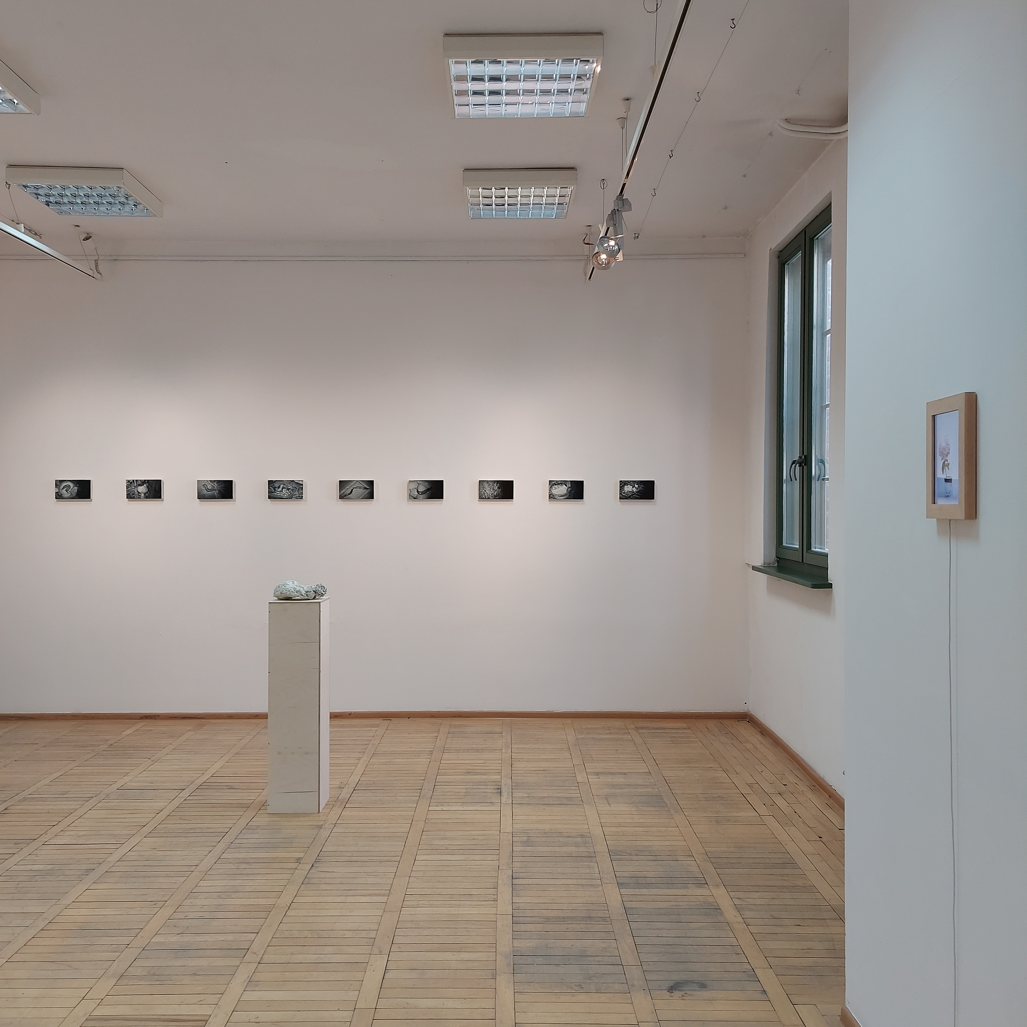8 M.Pawlak M. Kowalski, Wystawa BIOL-CHEM, Galeria ASP Gdańsk, 2022